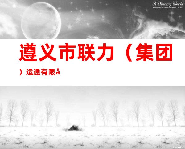 遵义市联力(集团)运通有限公司
